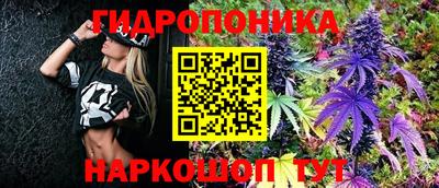 стаф Кунгур