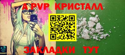 стаф Кунгур