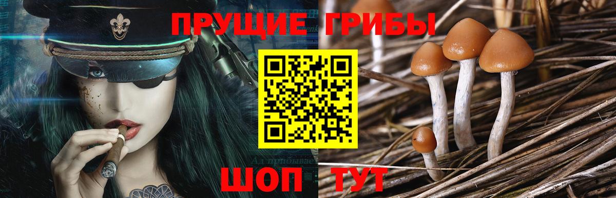 Галлюциногенные грибы прущие грибы Воркута